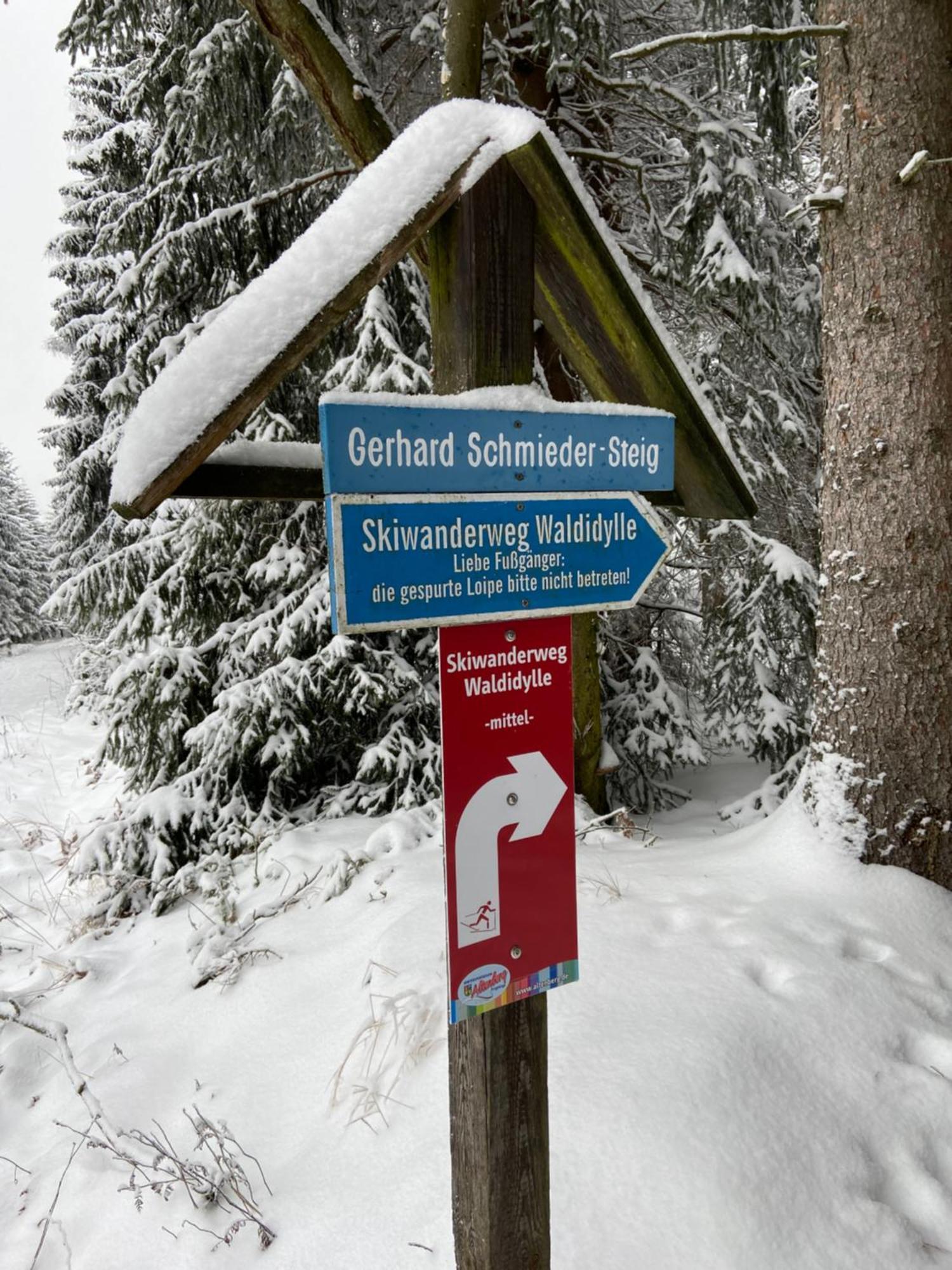 Zugspitze Apartment Sonn.Schein Altenberg Bagian luar foto